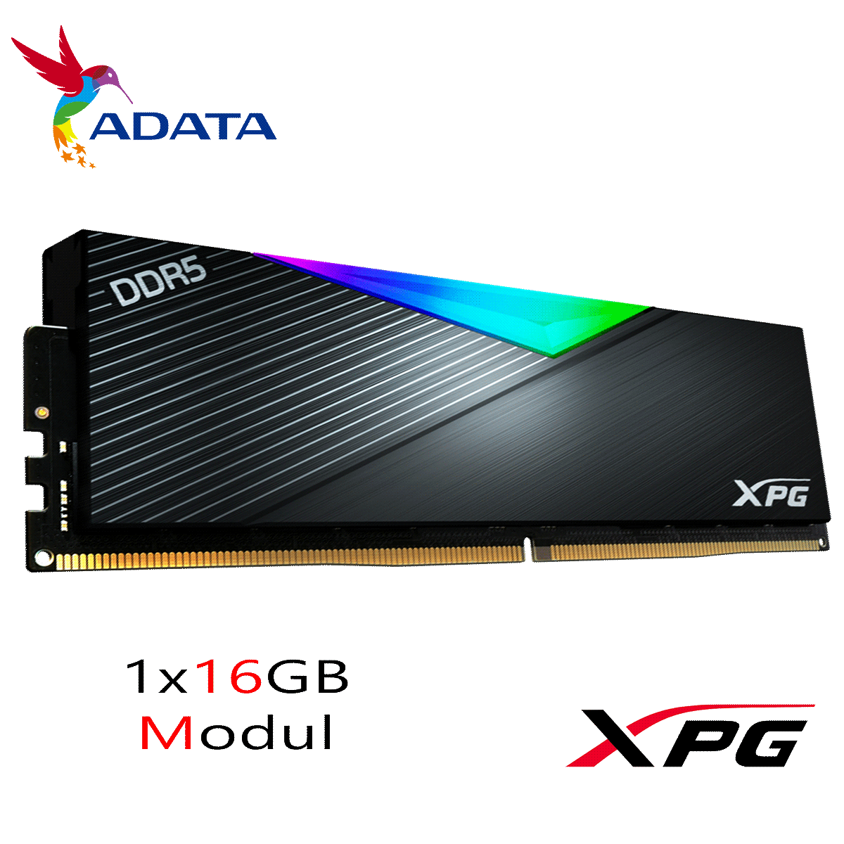 16GB ADATA XPG LANCER RGB DDR5-6000 DIMM CL 38 Single Modul schwarz 