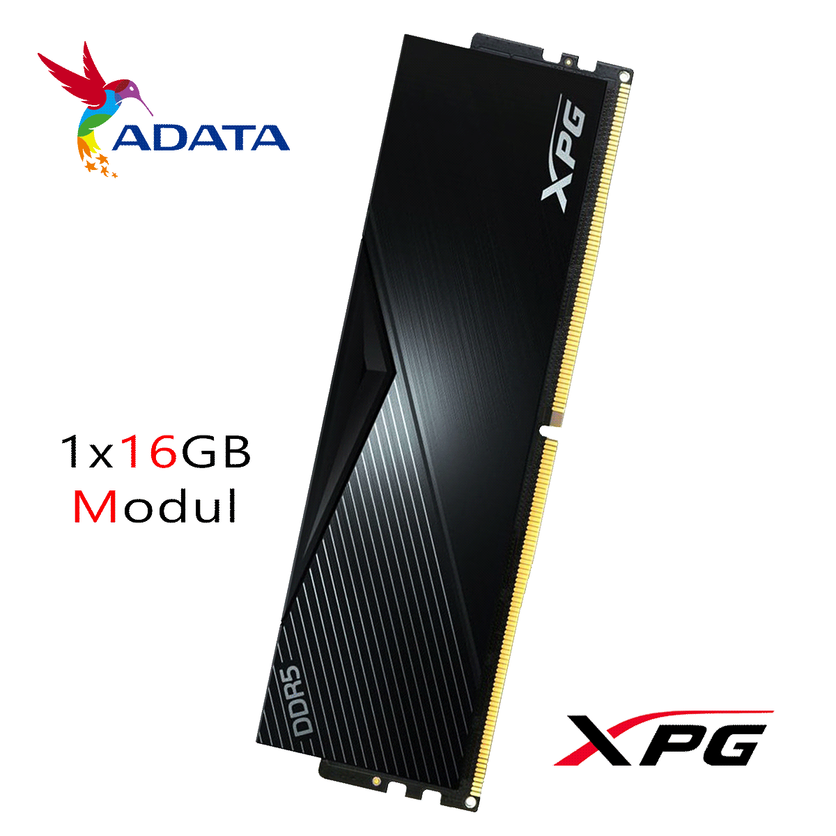 16GB ADATA XPG LANCER DDR5-6000MHz CL40, Single Modul schwarz