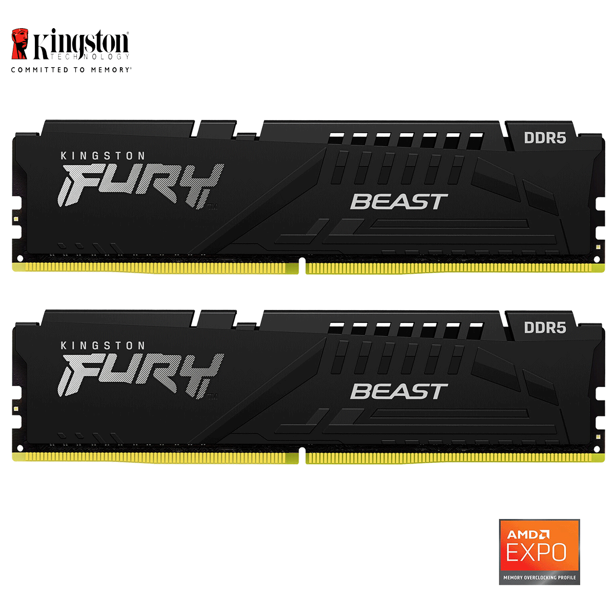 64GB Kingston FURY Beast EXPO DDR5-6000 DIMM CL36-38-38 (2x 32GB) Dual Kit of 2
