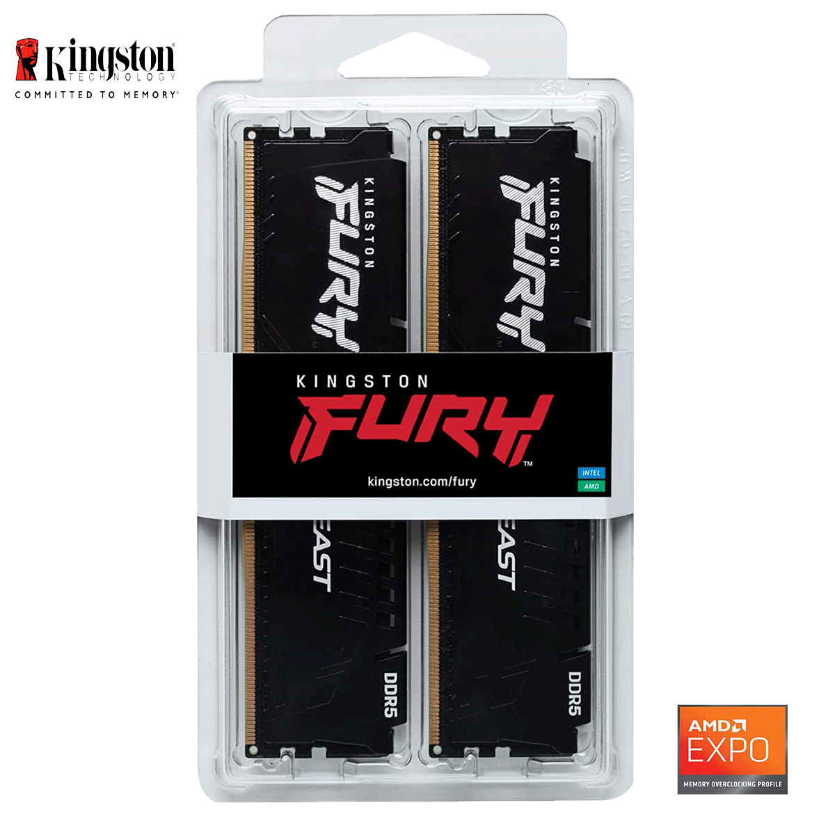 64GB Kingston FURY Beast EXPO DDR5-6000 DIMM CL36-38-38 (2x 32GB) Dual Kit of 2