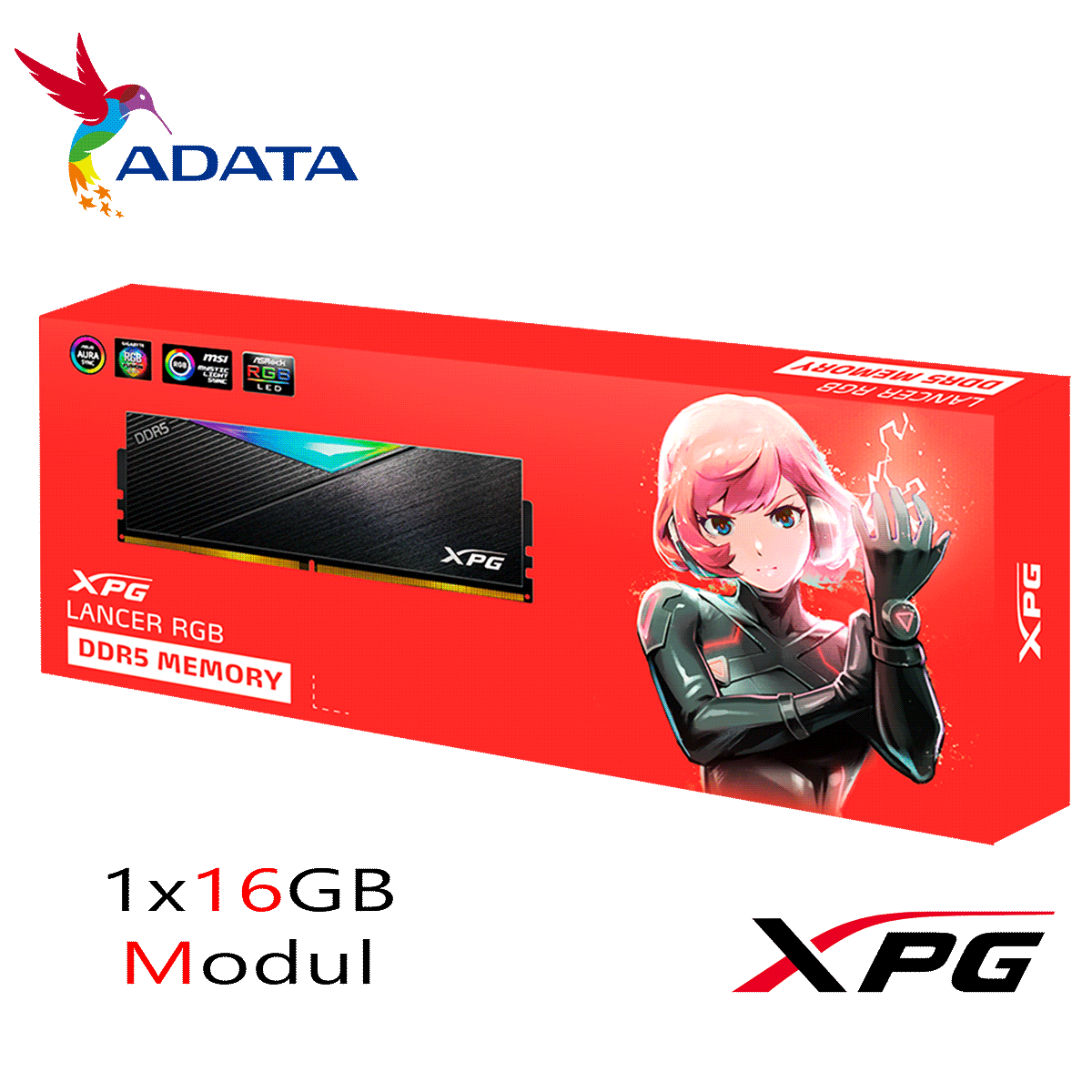 16GB ADATA XPG LANCER RGB DDR5-6000 DIMM CL 38 Single Modul schwarz 